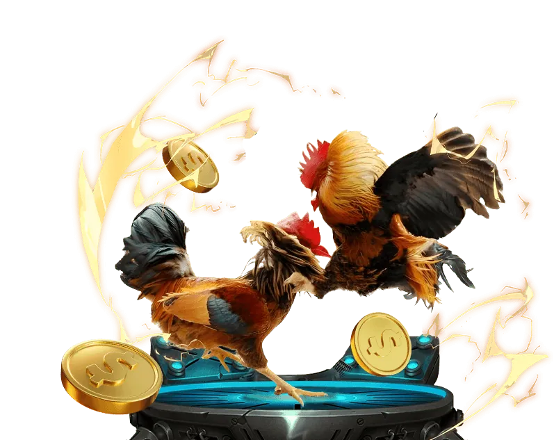 Tỷ lệ cược Mỹ